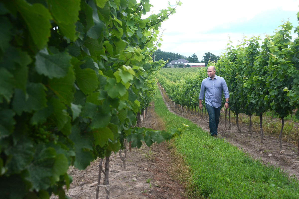 ScottRosts's tweet photo. Great chat with @RichieWine earlier this week for a winemaker profile for upcoming editions @NiagaraLife1 and @WestNiagaraLife - stay tuned https://t.co/kul44OyC1t