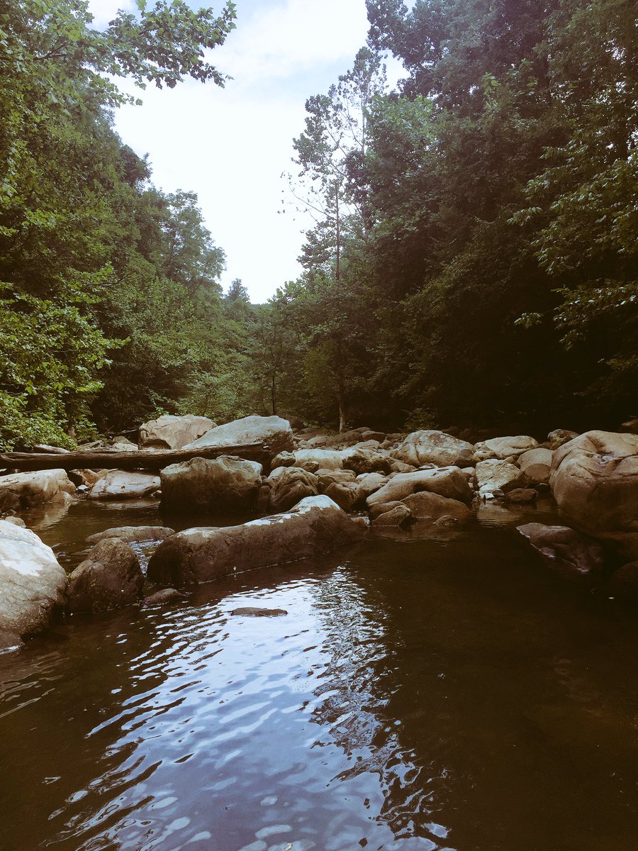 bbmaryt's tweet photo. Summertime is nice and hot, and my life is sweet like vanilla is 🍦 https://t.co/ITVhQCmEAU