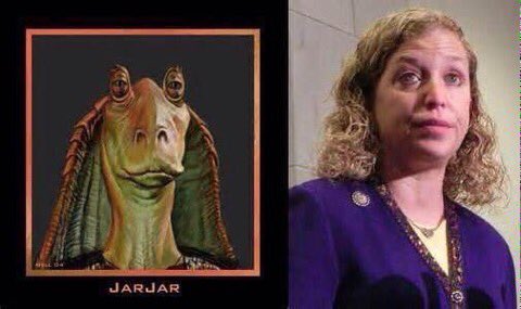 ArtistCal's tweet photo. @Pamela_Moore13 @grantrobertb I bet #DebbieWassermanShulz got some #BleechBit from #Hillary's dealer. Lovely, aren't they? https://t.co/gkGyKOK2qm