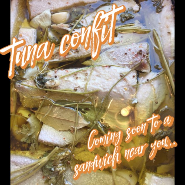 thegoodwich's tweet photo. Our little piggy went to the beach...try our tuna confit sandwich as the FISH of the week 🐠🐟🐡🐬 #stackedrite #nom https://t.co/3JX37v6uGa