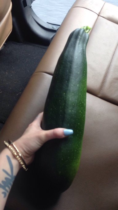 But damn look how big this zucchini is from my garden! #lotsoflube https://t.co/nHah5JjjTZ<a href="/tag/lotsoflube"class="tags"><span>#lotsoflube</span></a>