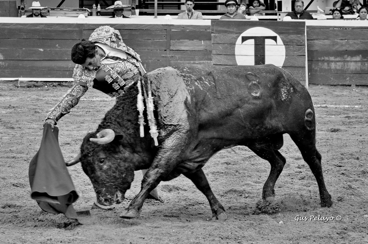 guspelayo's tweet image. @Jeronimo_Torero 23JUL2017 - Xico, Veracruz.