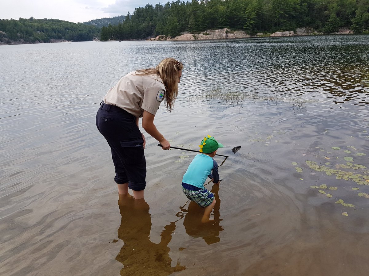 MeaningMachine's tweet photo. @KillarneyPP our son at pond dipping for BioBlitz w/ Rachelle. Thanks also to Bethany, Alex, Hudson, Alyssa, Grace + more 4 making memories https://t.co/IpTriRJ1Tq