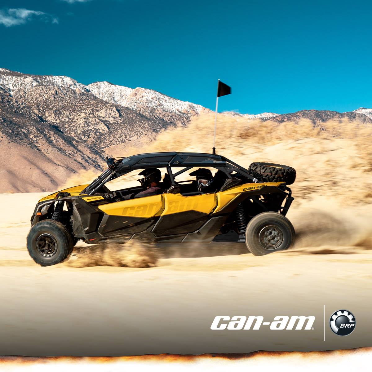 CycleModesto's tweet image. Unmistakably Fierce
Learn more at Cycle Specialties → bit.ly/2aYlDR1