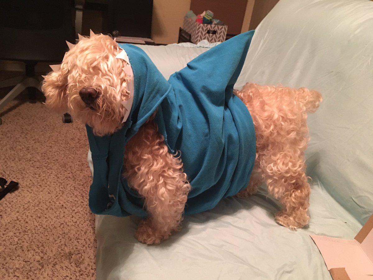 Bootheblind's tweet photo. #barkweek @dog_rates https://t.co/7jBZcONhyy