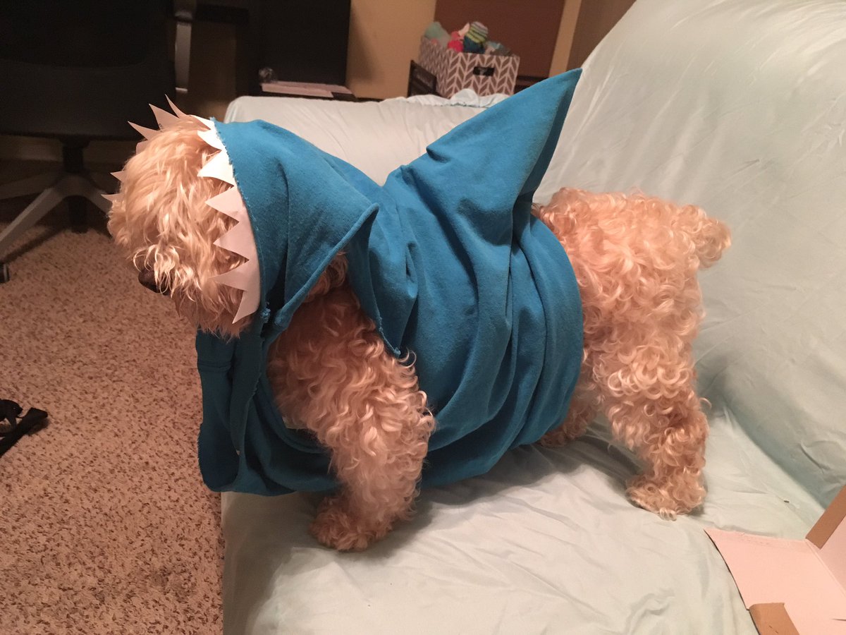 Bootheblind's tweet photo. #barkweek @dog_rates https://t.co/7jBZcONhyy