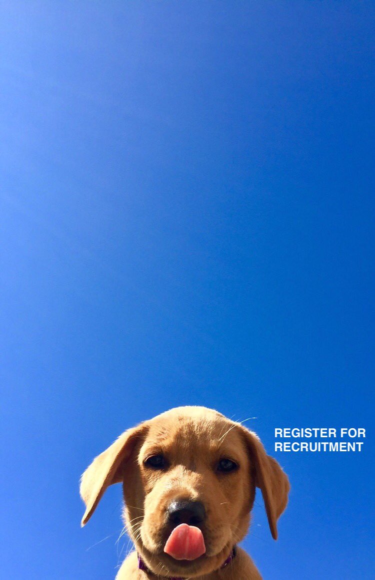 Open for a surprise