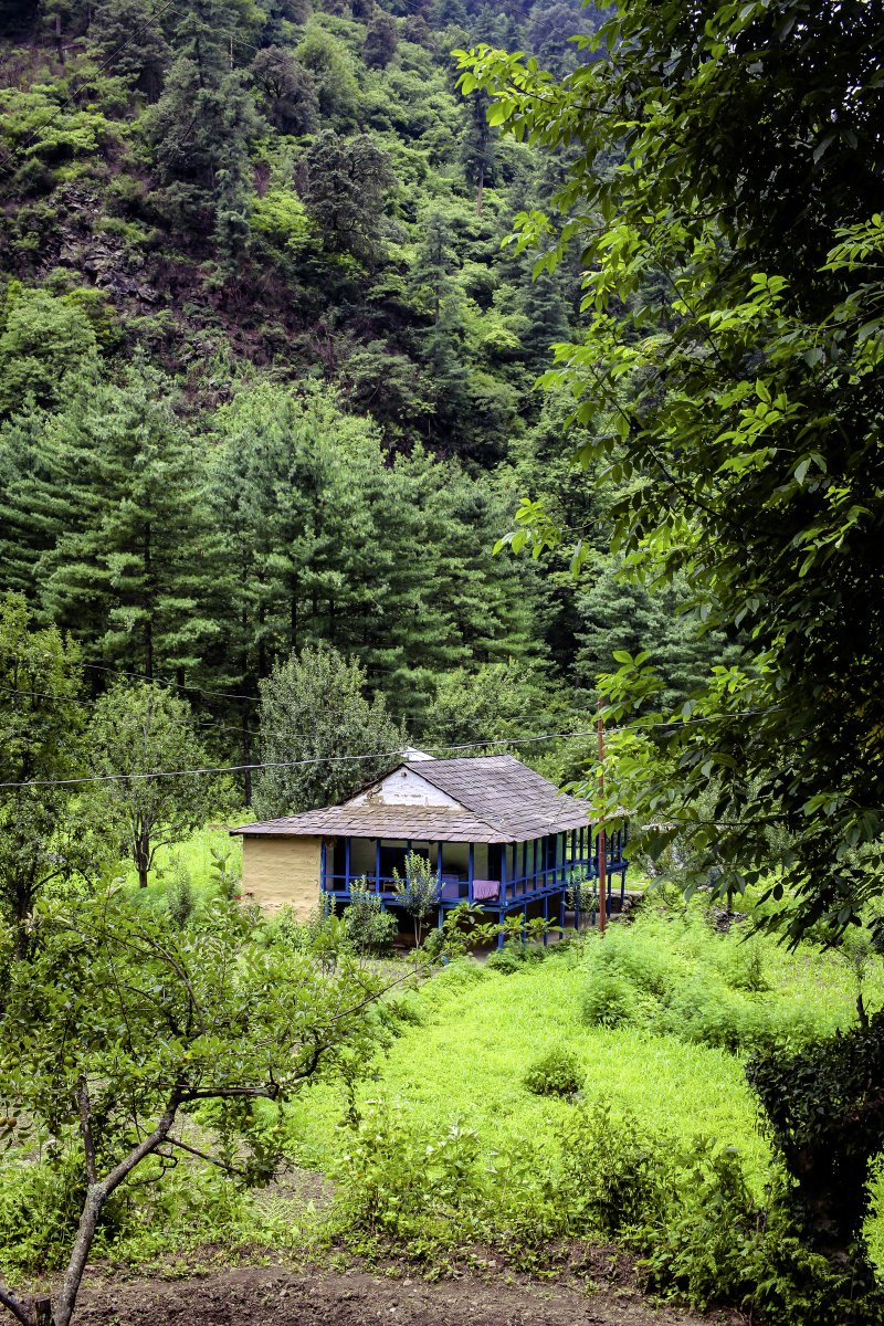 weareontrip's tweet photo. Somwhere in Tirtha Valley, Kullu, Himachal Pradesh. #traveldiaries #himachal #vikaskanwal #weareontrip https://t.co/r2K8KCwyiv