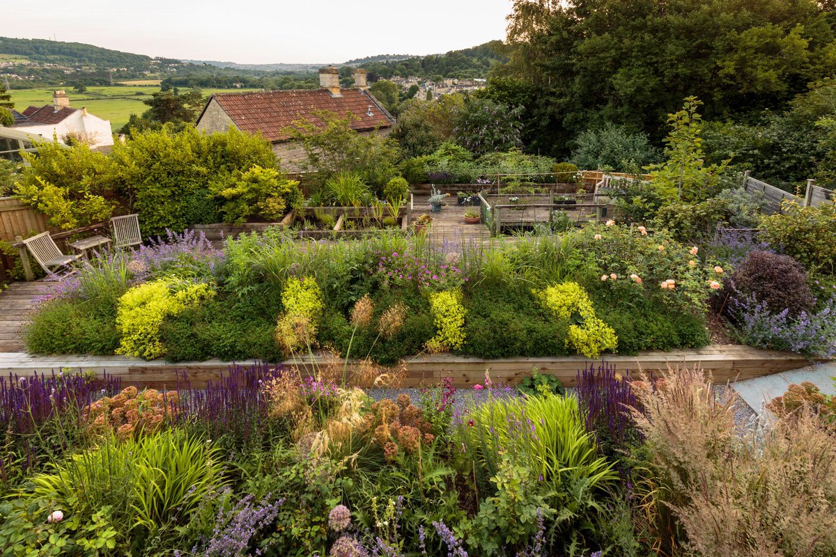 Few photos from a garden I planted last May. <a href="/andrewmaybury/">Andrew Maybury</a> took this lovely shots.
