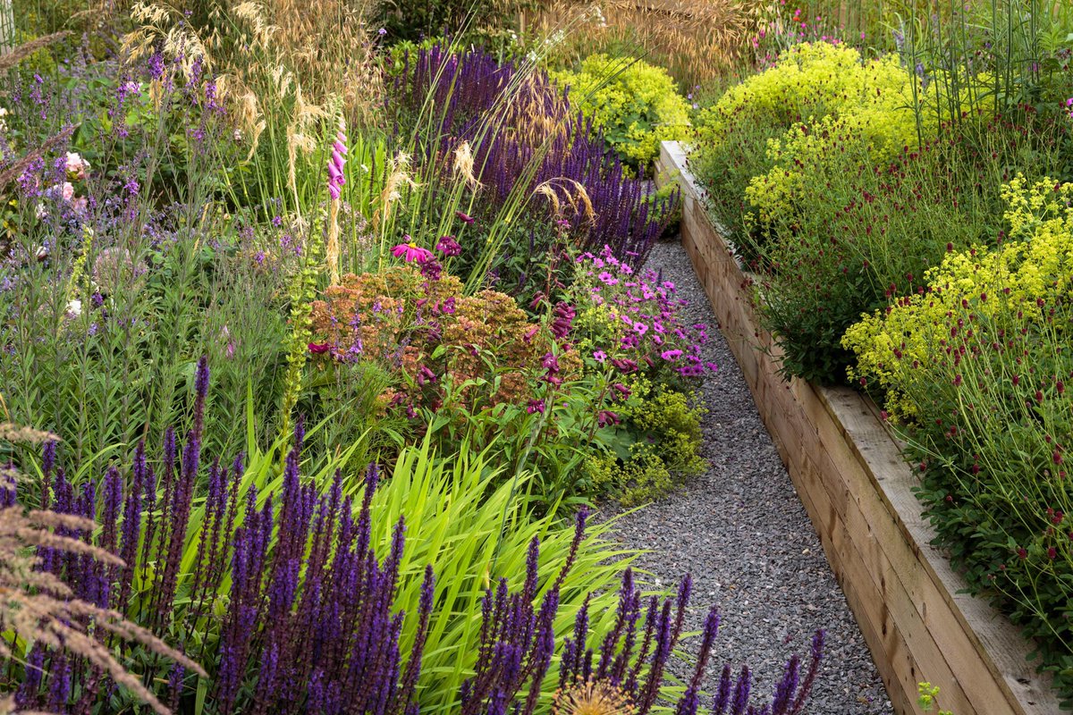 TomGardens's tweet photo. Few photos from a garden I planted last May. @andrewmaybury took this lovely shots. https://t.co/zoETkyLPuP