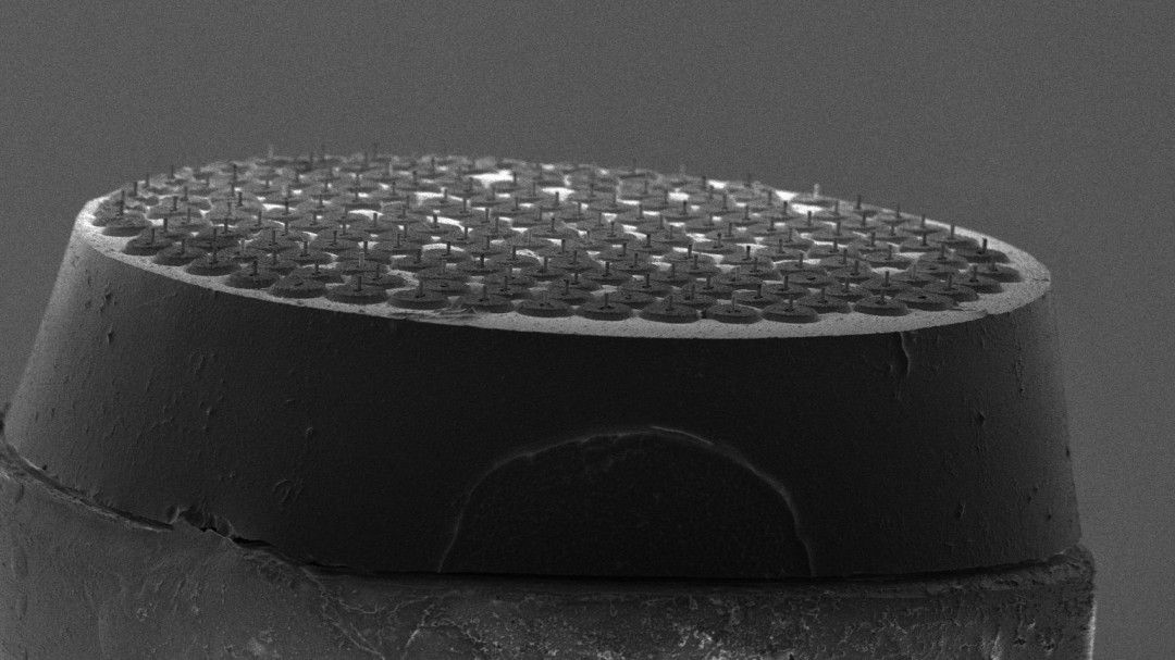 mscienceai's tweet photo. Brain to computer interfaces gets U.S. funding. Are you ready for thought-to-text?
https://t.co/JWCHM6tuc7 https://t.co/J9GERGgOQe