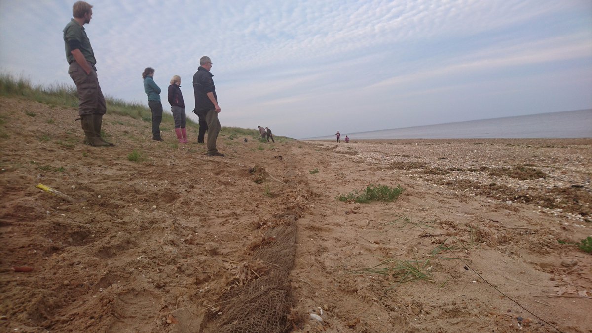 btorobrob's tweet photo. Autumn is here - net set for annual #Wash #wader RG monitoring program. All we need now is birds... #waiting #WWRG #BirdRinging #ornithology https://t.co/6bmyGQd5Lh