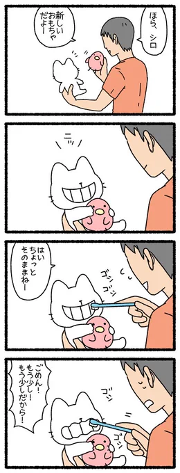 ねこようかい　のっぺらぼう１５　のっぺらぼうの歯磨き　#ねこようかい　 #四コマ 