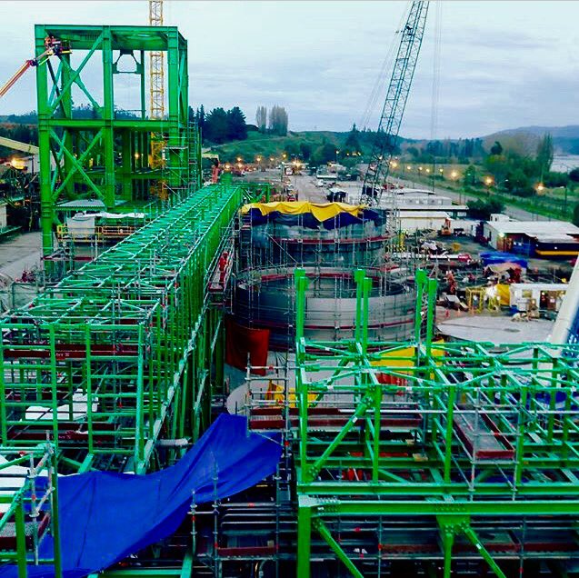 Fidel 🇨🇱 (@fidel13951505) on Twitter photo 