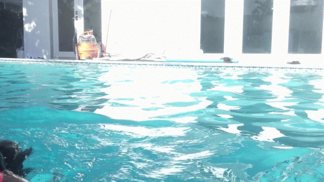 Daniel Ramirez tweet media