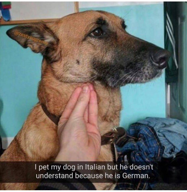 allerseits's tweet photo. …Fötoz des Mussolini häblandotch cönmi Pästors Alemanen, auf nön entienden des italien langüage… @postadaltevere https://t.co/DS5lZR69Bu
