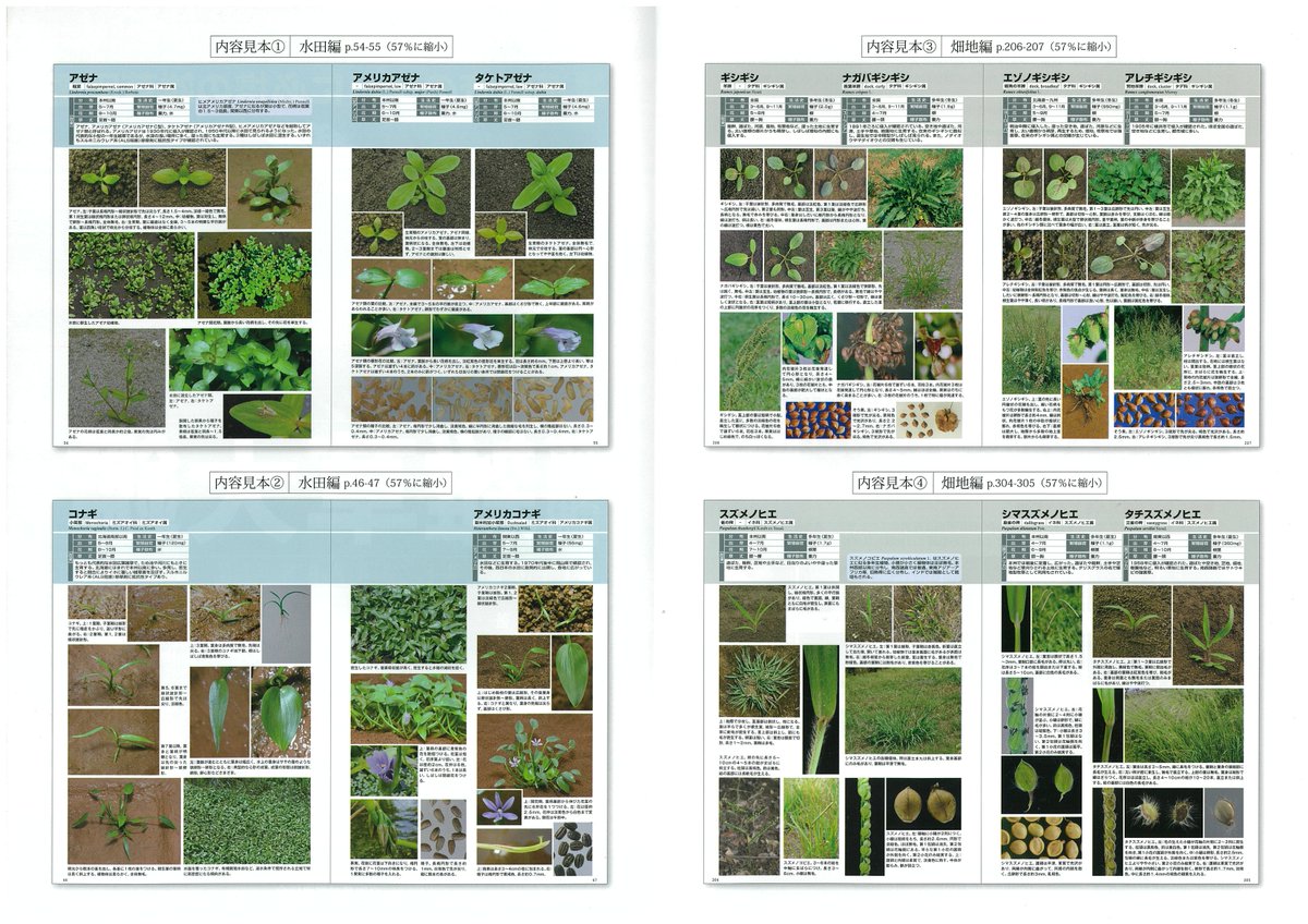 熱販売 植調雑草大鑑 / 浅井 元朗【著】/日本植物調節剤研究協会 熱販売 植調雑草大鑑 / 浅井 元朗【著】/日本植物調節剤研究協会