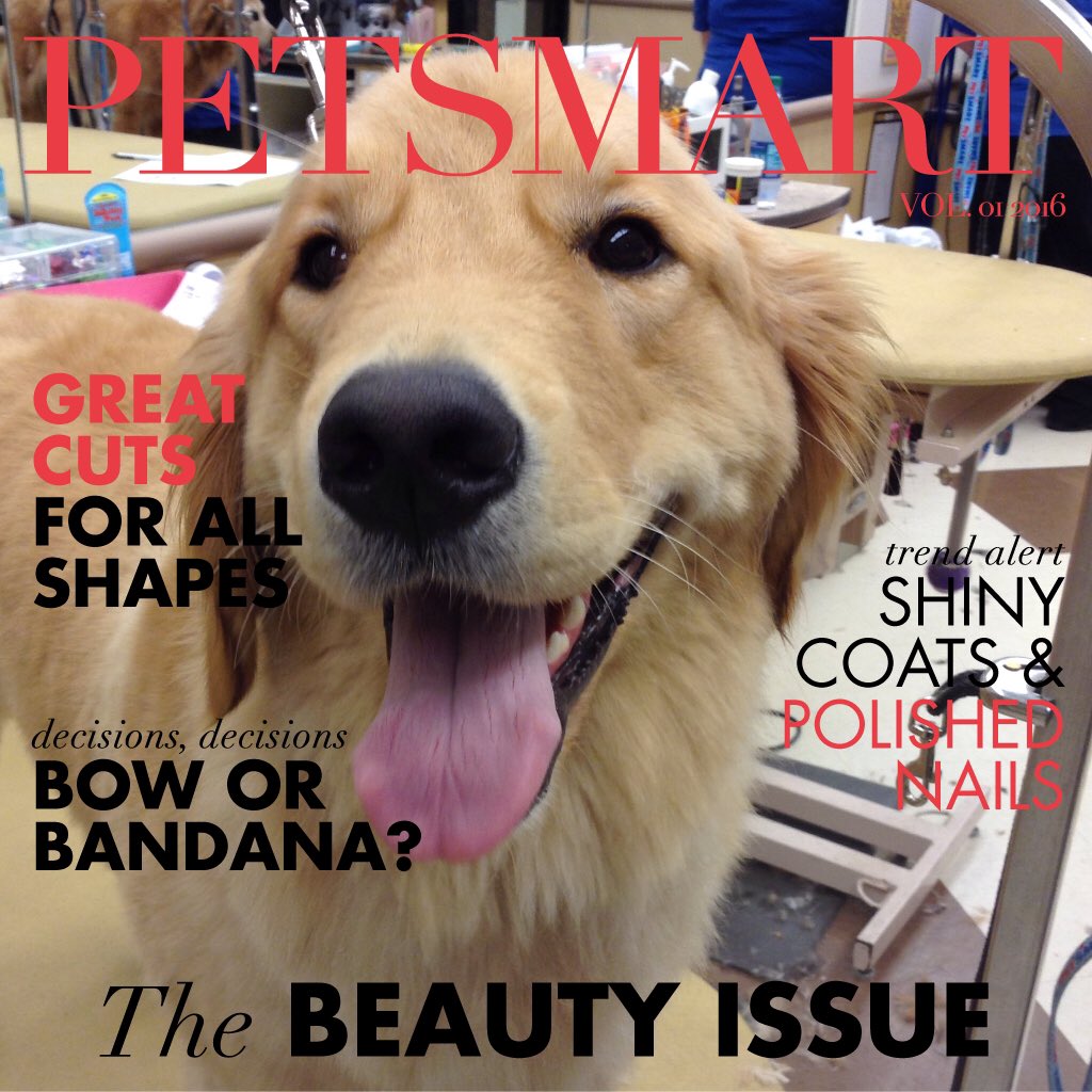 1186petsmart's tweet photo. Great job on this baby, Angela! Little Miss Maggie here enjoyed her groom! and we enjoyed her! https://t.co/O5zauhURPq