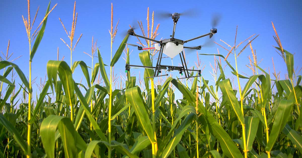 Precision/UAV/Fertilizer/Agricultural #Spraying #Drone 😃
More technical information please visit: wwzdrone.com
#HAHN #SDLive