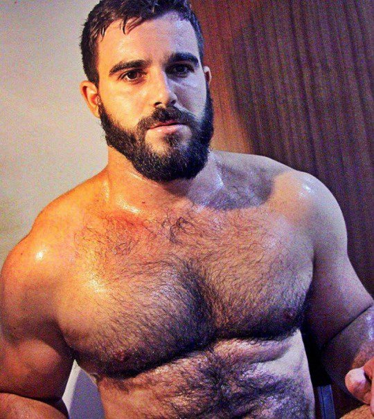 MEN_gr's tweet photo. hello guys #MEN_gr #Gay_Greek_MEN #Hairy_MEN #bearded_MEN https://t.co/iZz8yP74Im