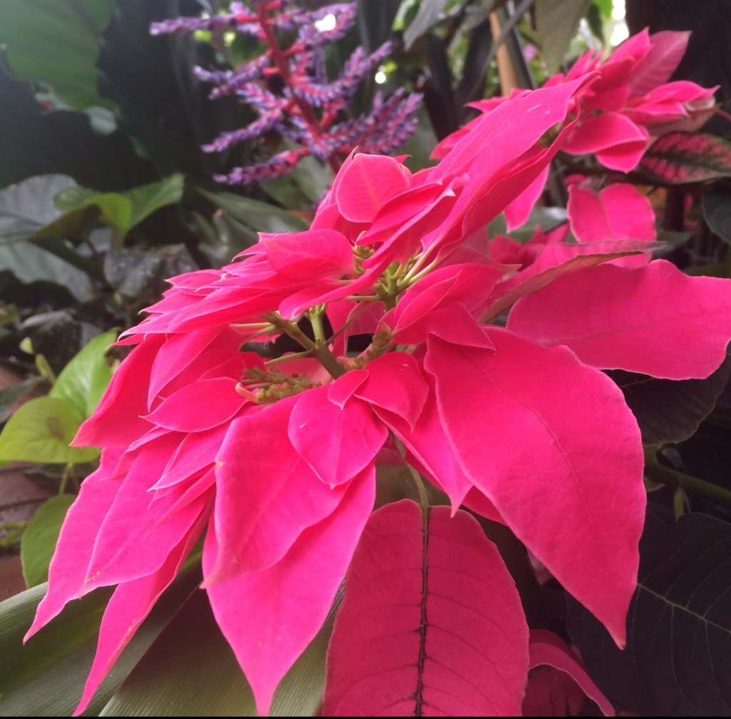 A letter to my little Sister alovedchristian.wordpress.com/2017/07/26/a-l…