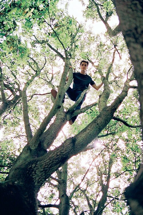 Travis Stoll. tweet media