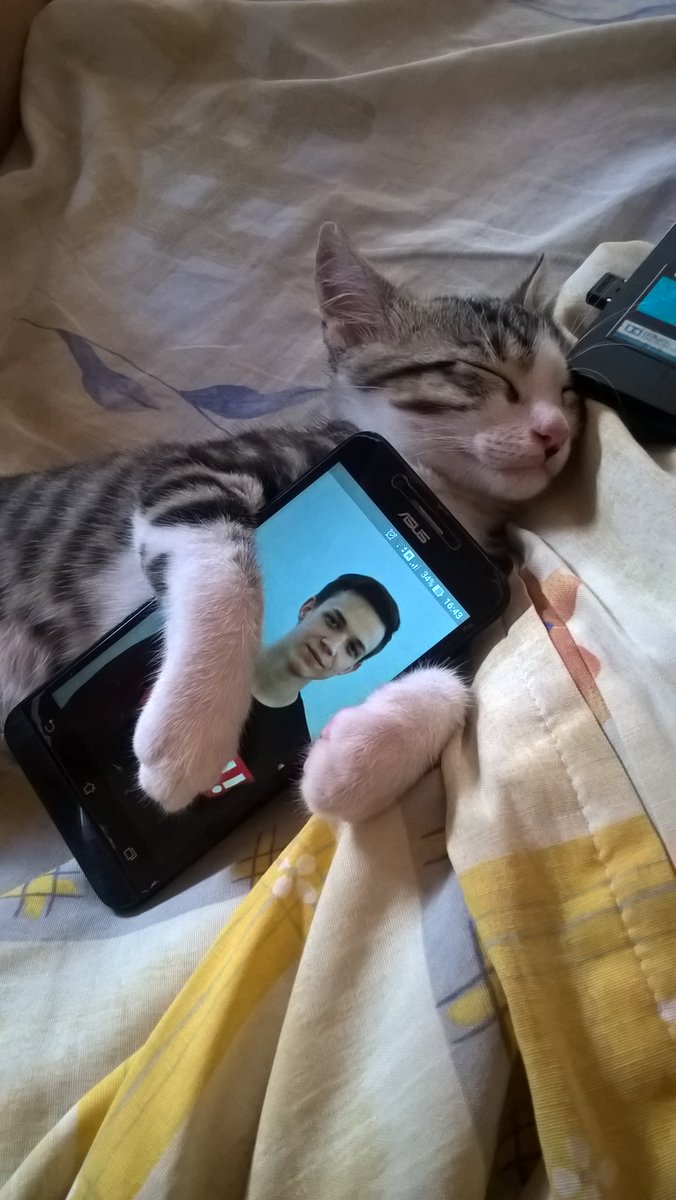 Varchenko 2.0 tweet media