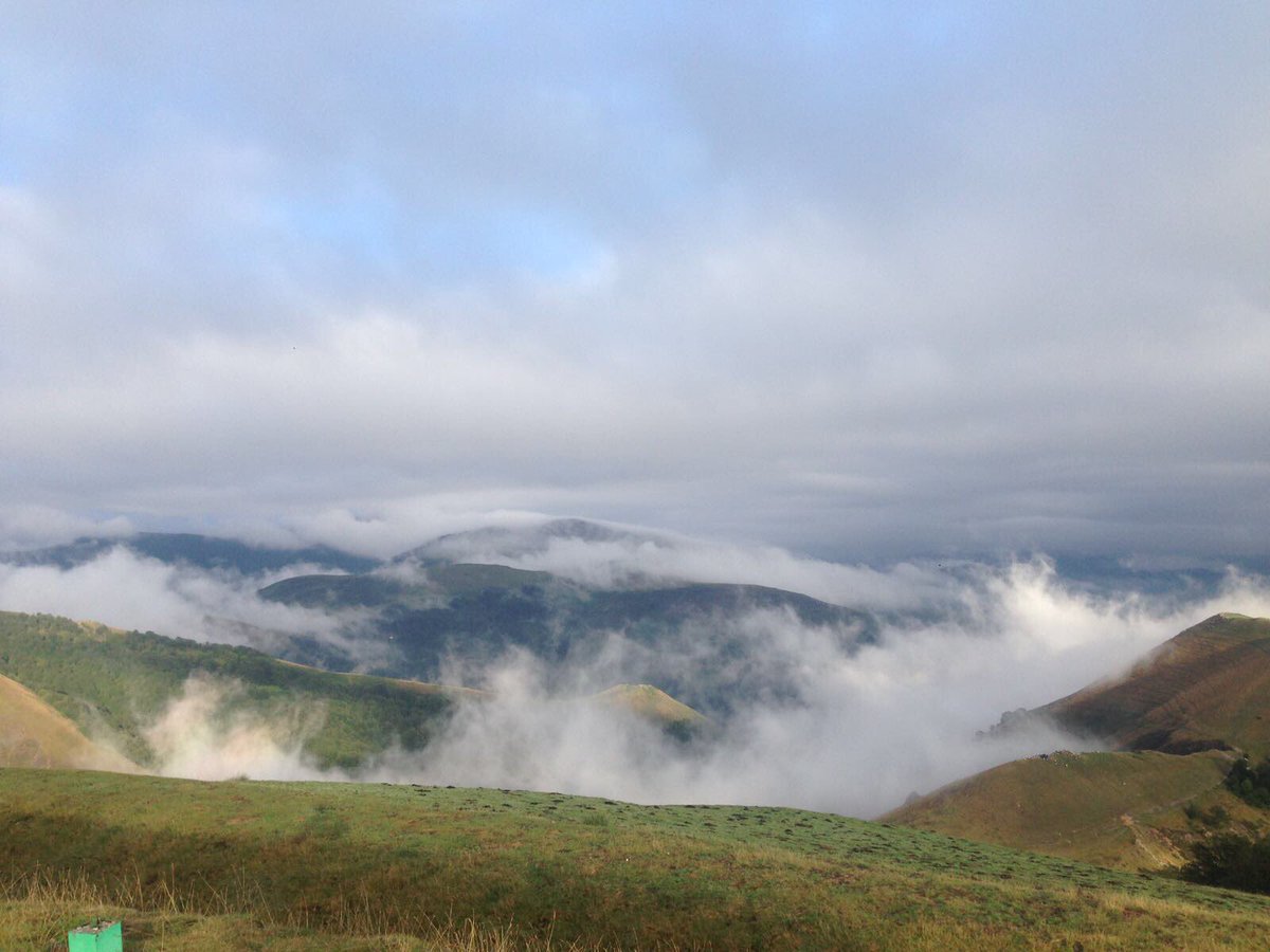 Y va amaneciendo y retirándose la niebla <a href="/pirineonavarro/">Pirineo navarro</a> <a href="/BirdingLindus/">Bird watching LINDUS</a>