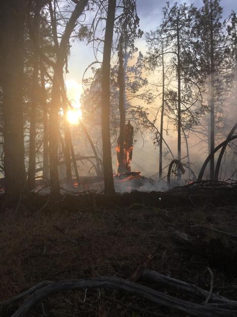 NWS_IMET_OPS's tweet image. . @NWSBayArea IMET enroute to #ModocJulyComplex near Tulelake, CA #CAwx #CAFire @ModocNF inciweb.nwcg.gov/incident/5415/