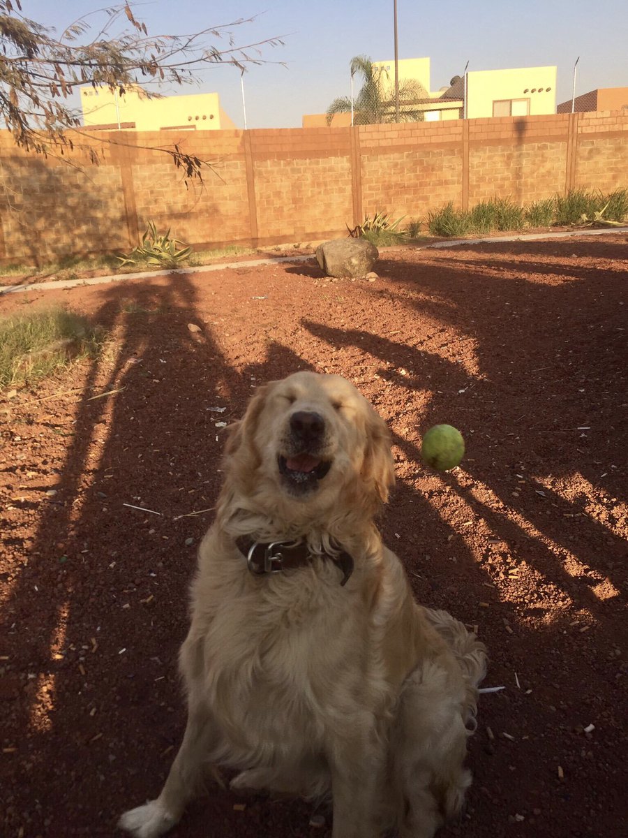 jincosets's tweet photo. he tried to catch the ball but it hit his face https://t.co/CB2xfcElbV