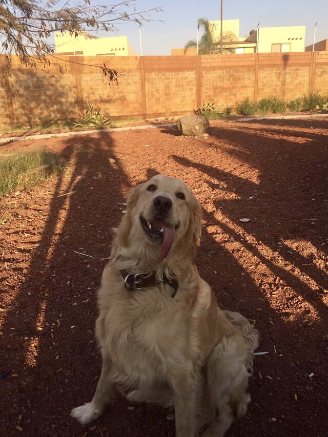 jincosets's tweet photo. he tried to catch the ball but it hit his face https://t.co/CB2xfcElbV