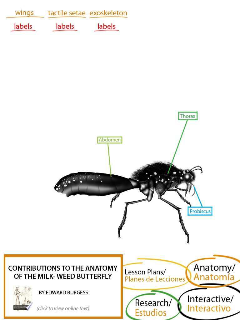 DrEddiesClass's tweet image. App development #UI #MultipleModalities #K3 #HandsOn