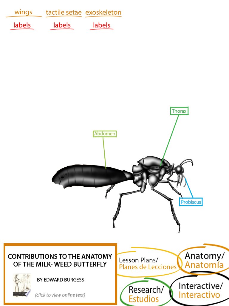 DrEddiesClass's tweet image. App development #UI #MultipleModalities #K3 #HandsOn