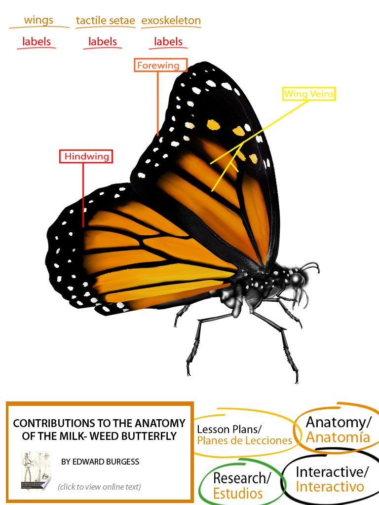 DrEddiesClass's tweet image. App development #UI #MultipleModalities #K3 #HandsOn