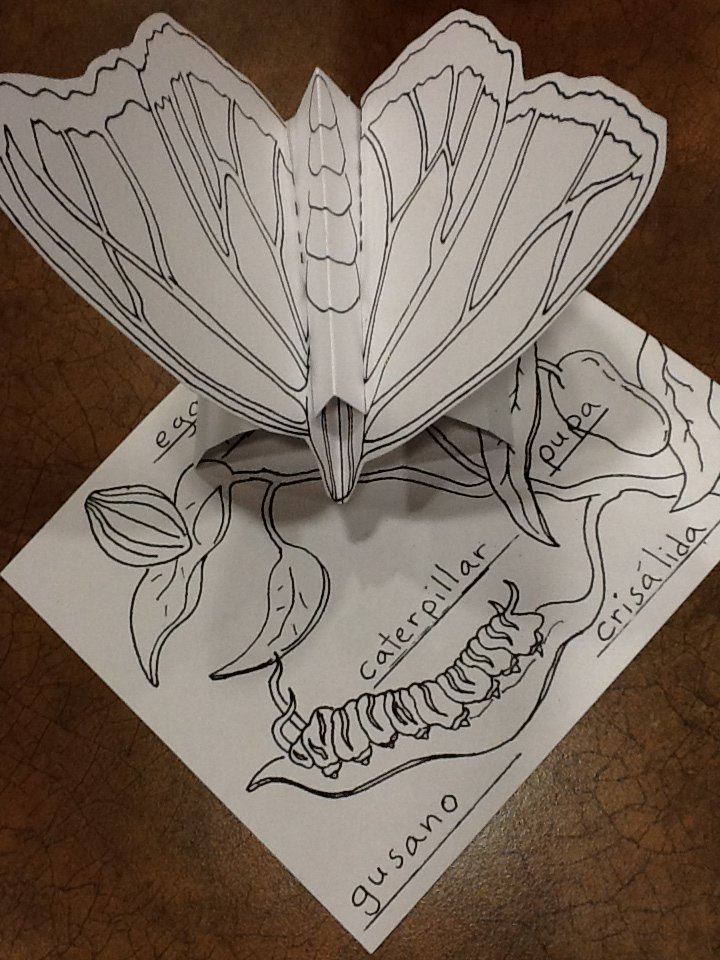 DrEddiesClass's tweet image. App development #UI #MultipleModalities #K3 #HandsOn