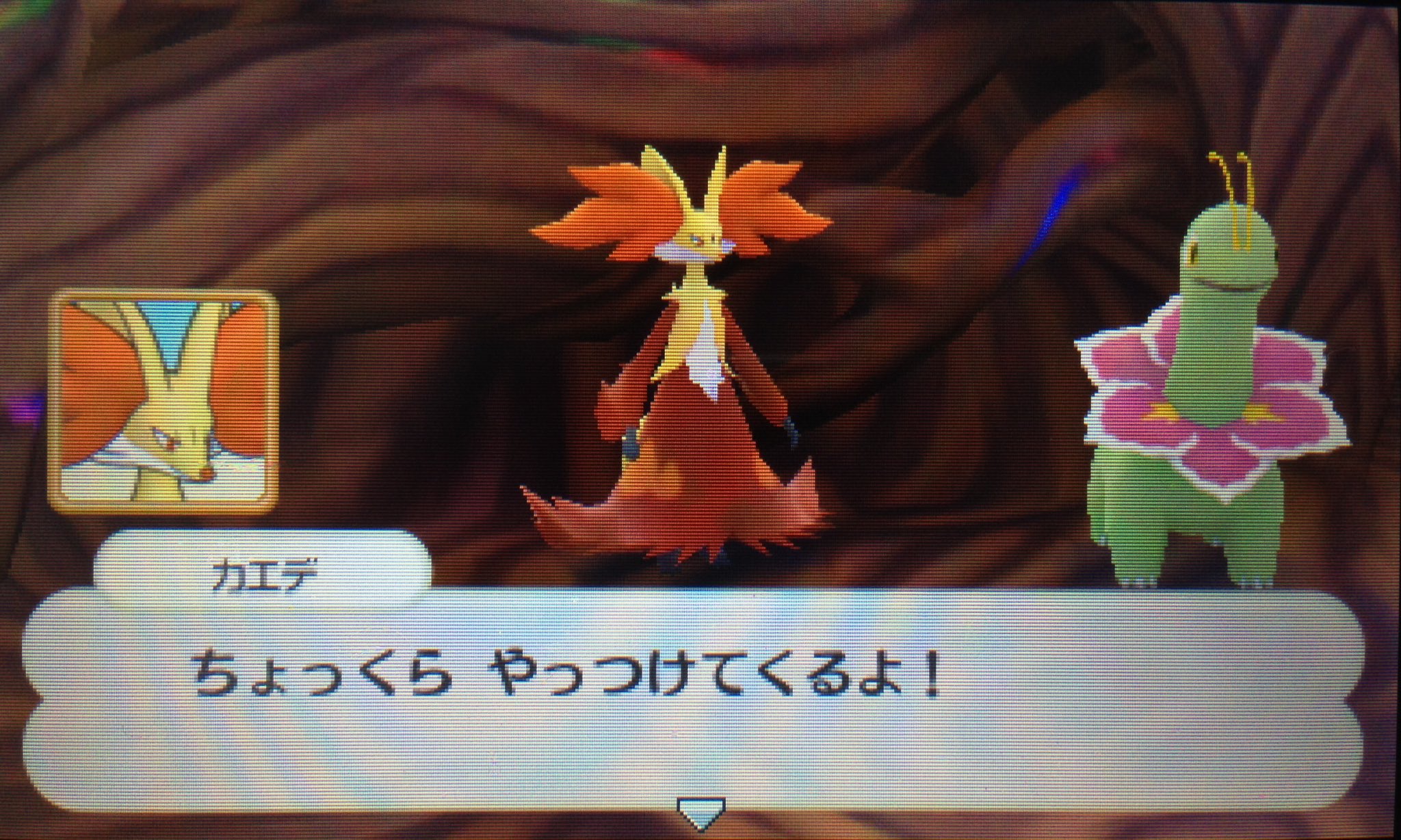 秋月 楓 時間旅行 No Twitter この事態に次々と伝説のポケモンが現れ 浮上する生命の木を止めに入った いよいよ最終決戦 伝説のポケモンの力で生命の木に転送され 再びスカーフの共鳴で進化したあやかとカエデ こんな時でもカエデらしい姿を見たあやかはより