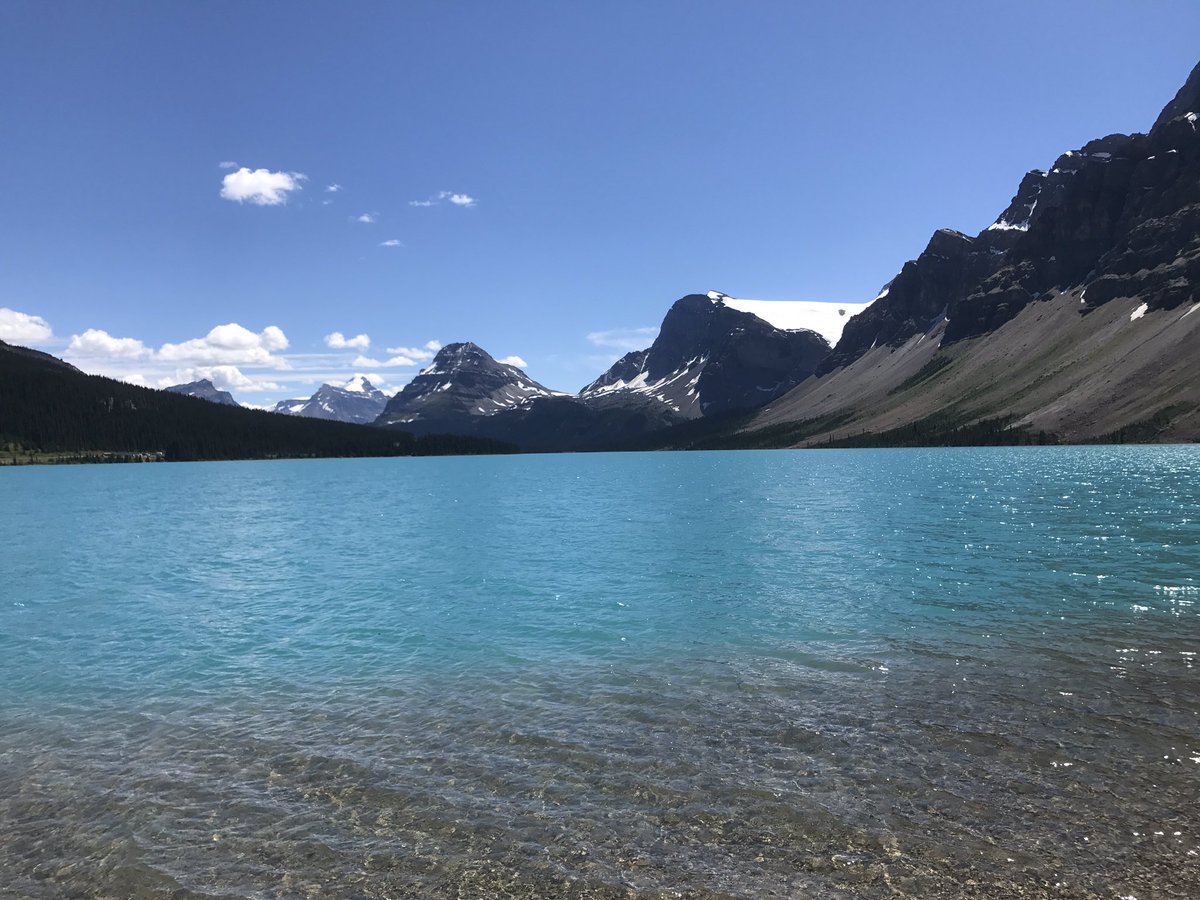 Georg Pall tweet media