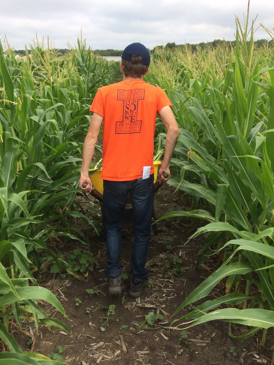 talkingrootworm's tweet photo. Such smiles! #Rootdigging must be a delightful activity where friends enjoy each other’s company while wallowing in the mud. Yeah, OK. https://t.co/nGoLfSIIXI