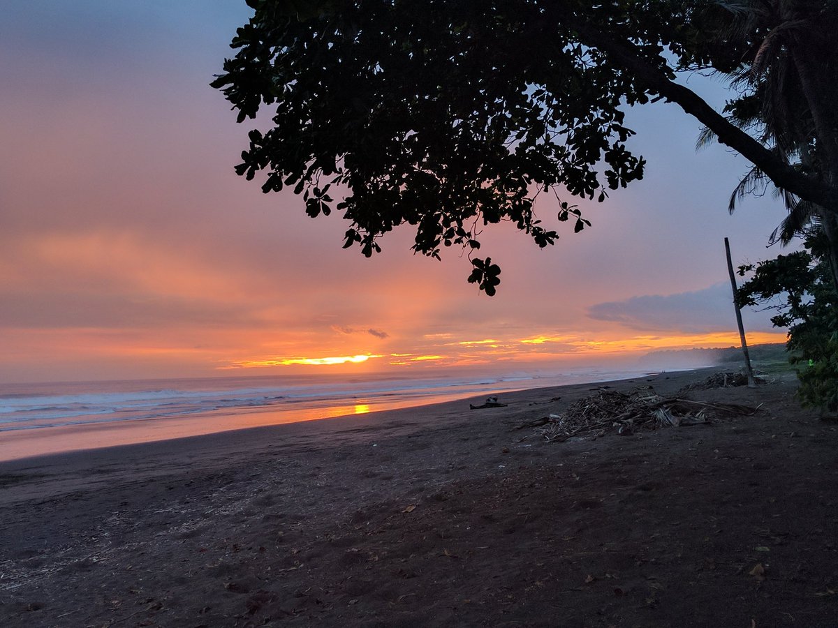 Just when you think this place couldn't get more beautiful #costarica #fieldworkhome