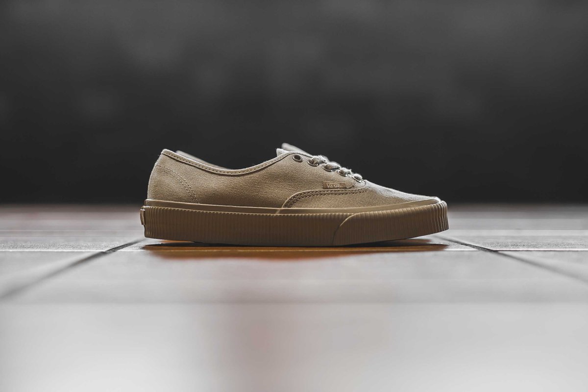 vans authentic mono surplus