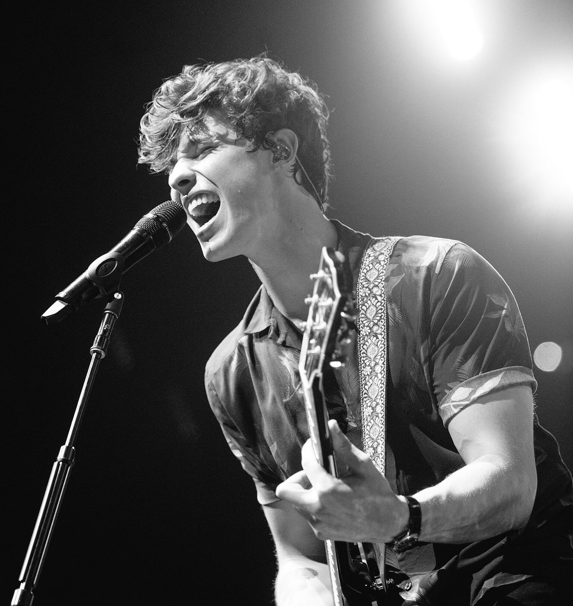 Tessa Peralta (tessa_peralta) Twitter