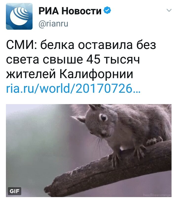 https://pbs.twimg.com/media/DFomP-4XUAQk6oX.jpg