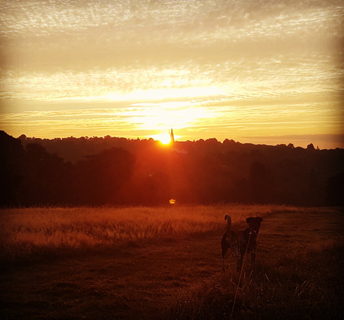 First sunrise in a week! <a href="/CityCorpHeath/">Hampstead Heath</a>