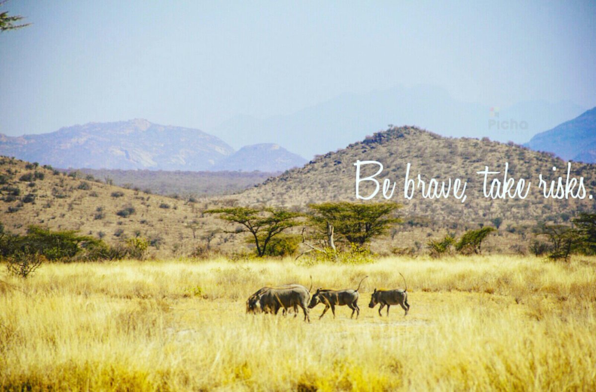 pichajournal's tweet photo. Be brave, take risks!
#tembeakenya #isiolo #seekenya https://t.co/GwmMB776JK