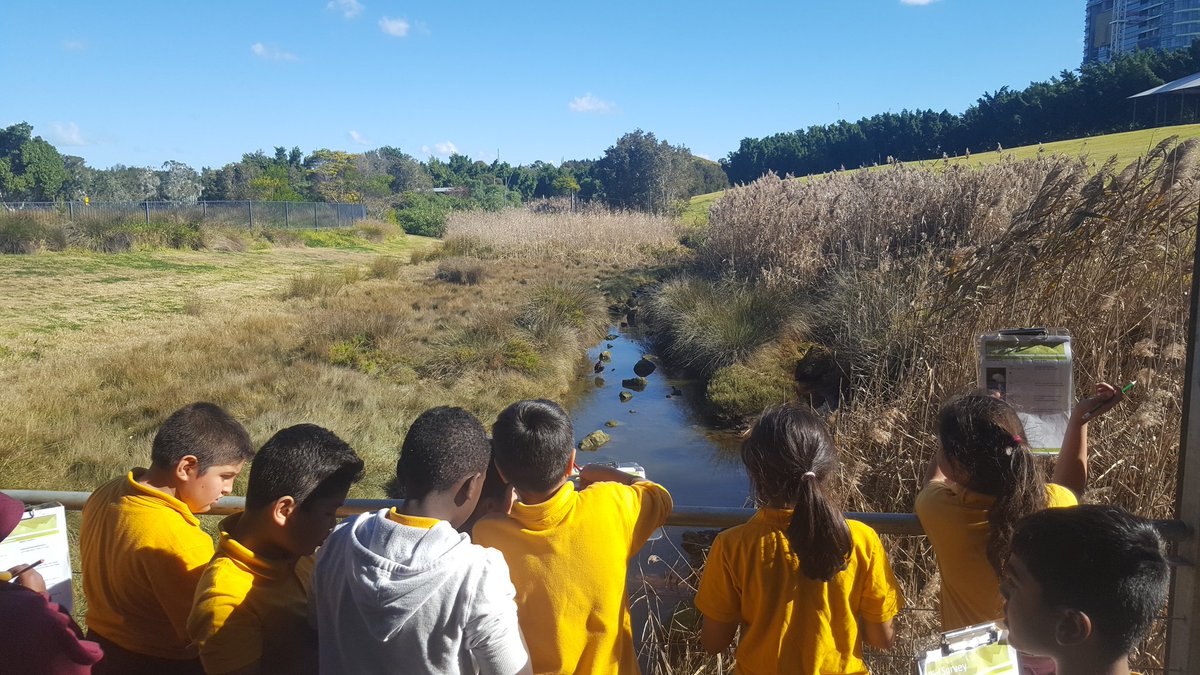 gpsICT's tweet photo. An excellent day @olympicpark_syd 
to learn about living environments. #dryforest #mangroves #birdwatching @GuildfordPublic https://t.co/hmAx0RJuZ7