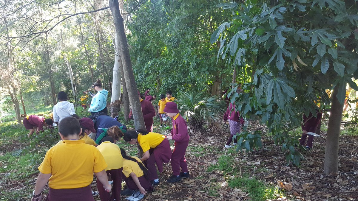 gpsICT's tweet photo. An excellent day @olympicpark_syd 
to learn about living environments. #dryforest #mangroves #birdwatching @GuildfordPublic https://t.co/hmAx0RJuZ7