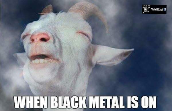 MetalMoonWitch's tweet photo. https://t.co/XDmq2ouDjy