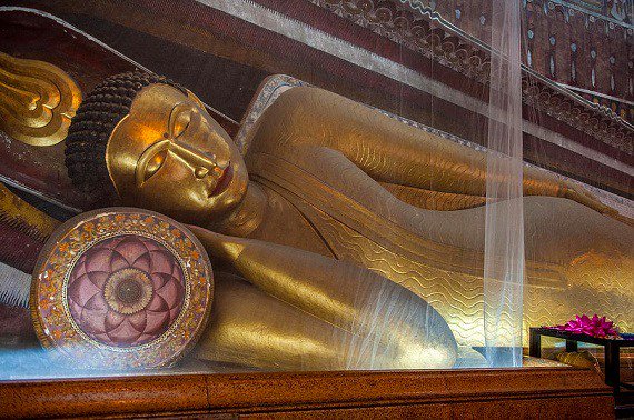 Joyk999's tweet photo. #SriLanka is such an #amazing #pilgrimage place.https://t.co/LpxQq0P0CH via @tsemtulku
#sacred
#powerplaces
#travel
#Buddhism
#Buddhist https://t.co/yILRt85jel