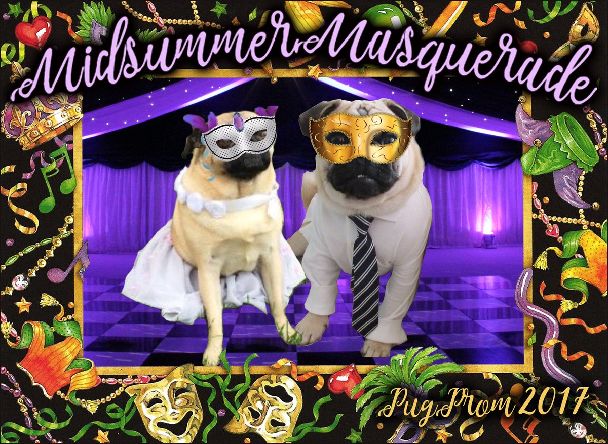 LiamWonderPug's tweet photo. @IvyPugisawesome Our pictures arrived! โค๏ธ #pugprom2017 https://t.co/kaKQwVVzyS