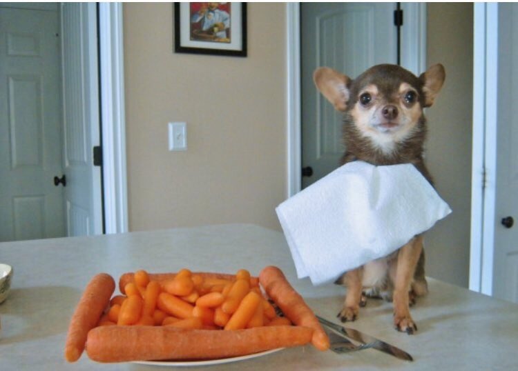 garyfromteenmom's tweet photo. yes relax....i cook vegan for u https://t.co/YHvFcaBVuo